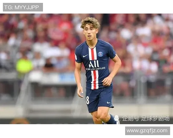 法国足球传奇与未来之星：探索球场上的荣耀与挑战